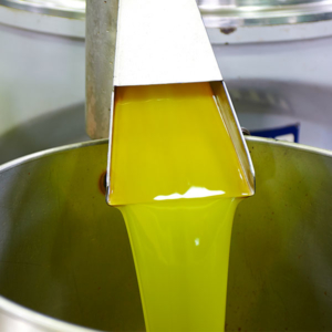 procesos-olivares-obtencion-aceite-2